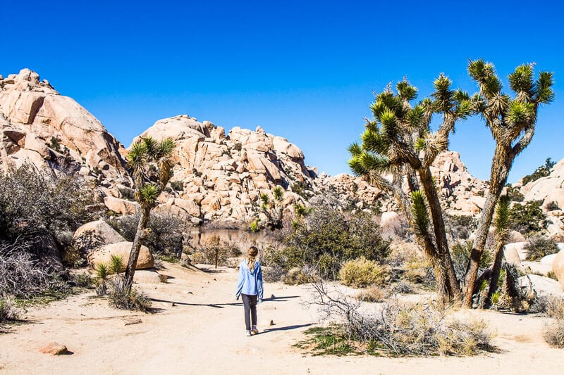 girl on trail with joshua trees