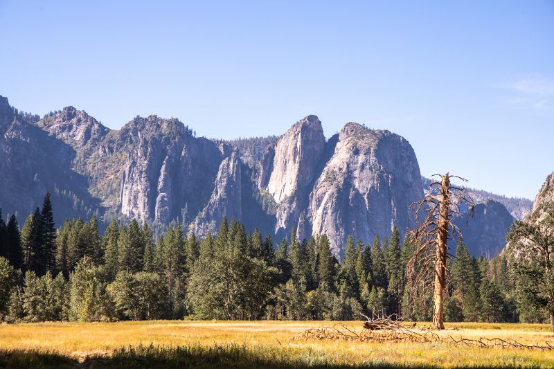 yosemite valley floor