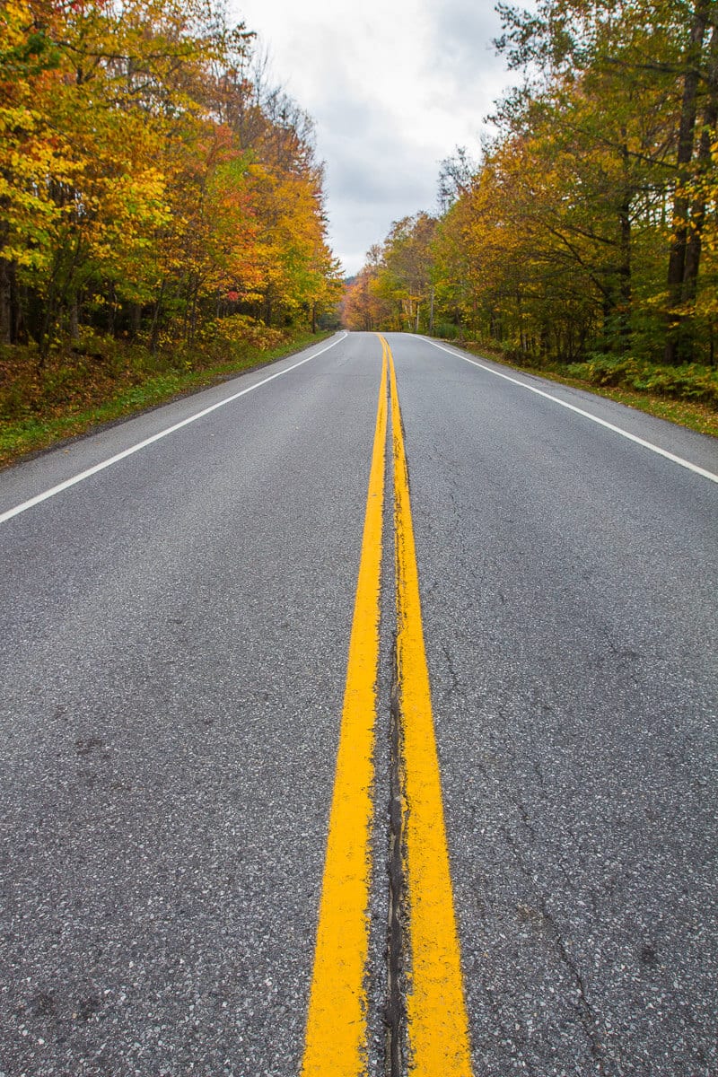 road in the middle of autumn forest