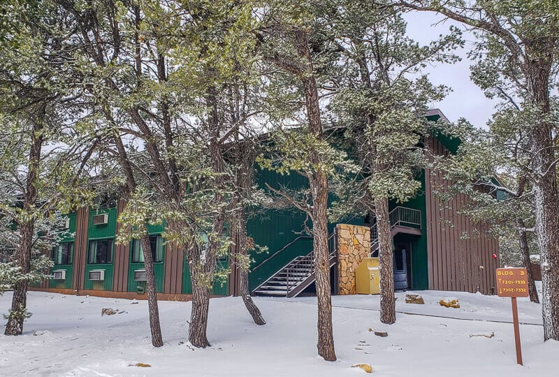 trees in front of a lodge in the snow