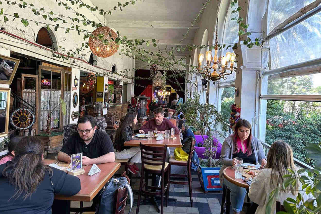 Cozy and rustic interior of a restaurant in Santiago, Chile, with hanging green plants and patrons dining under warm lighting