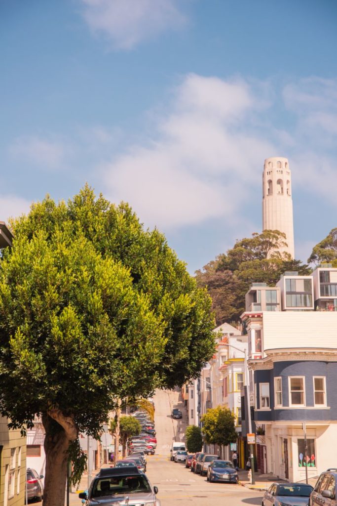 coit tower rising above san francisco homes