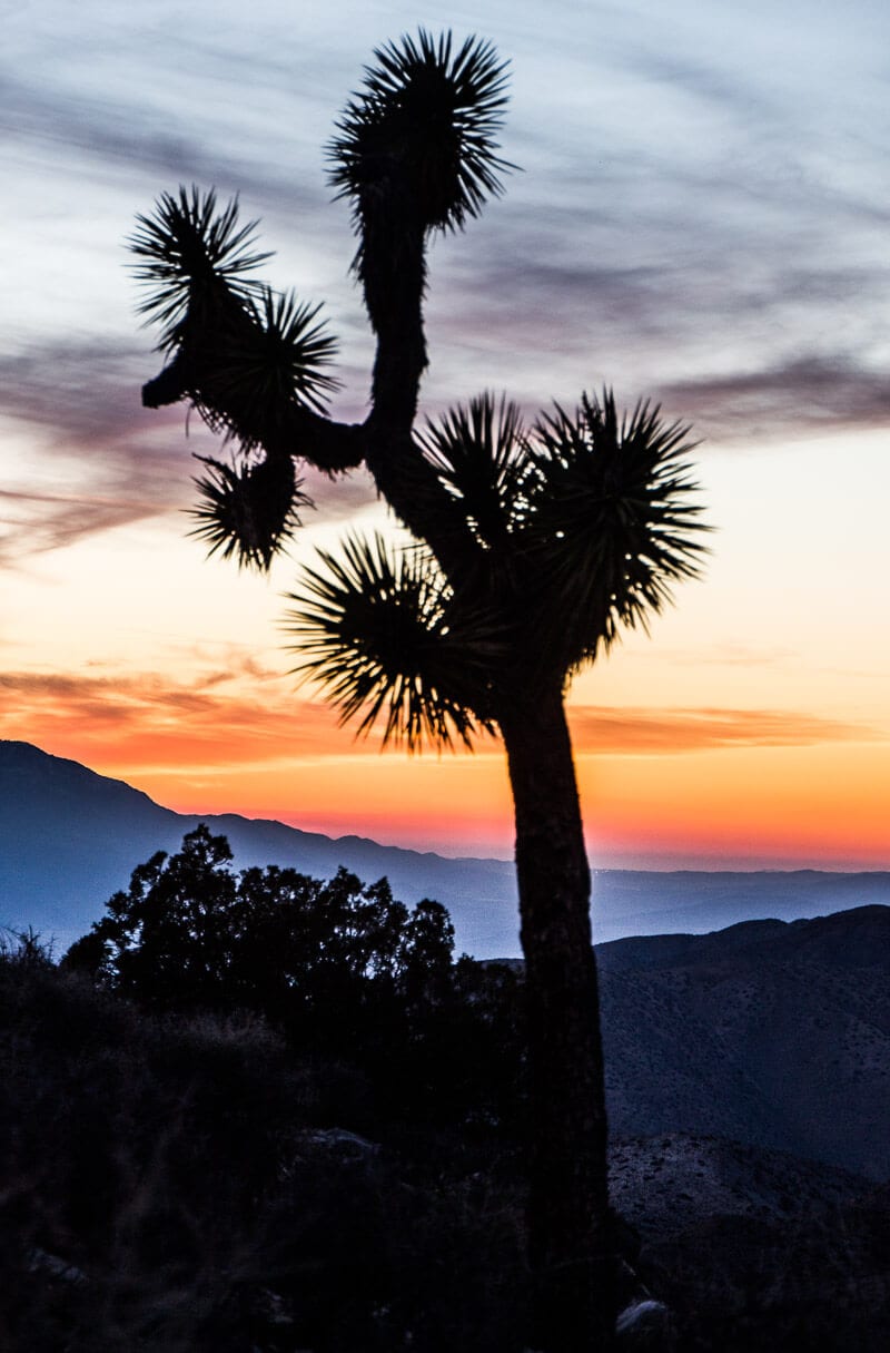 Sunset in Joshua Tree National Park, California