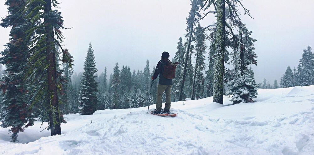 Skiing in Yosemite National Park