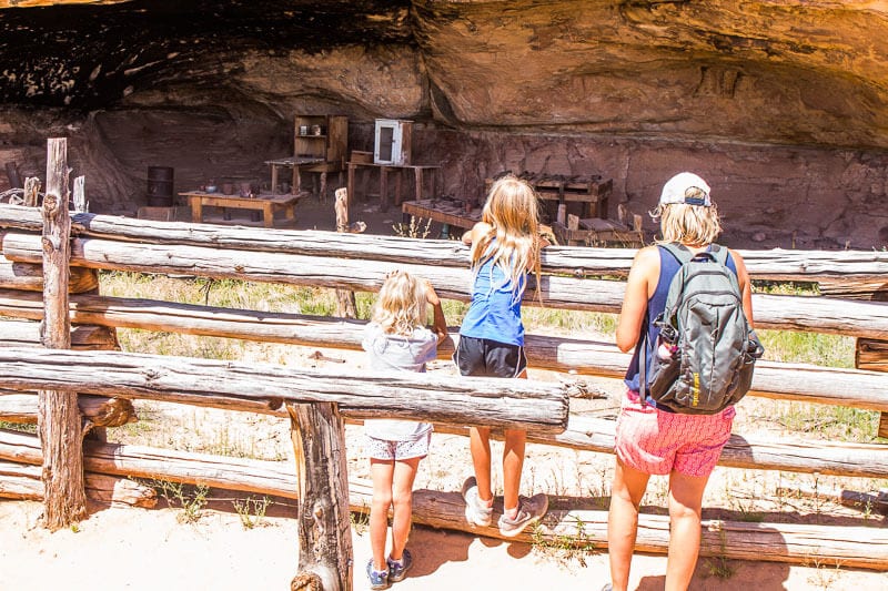 people standing on wooden logs