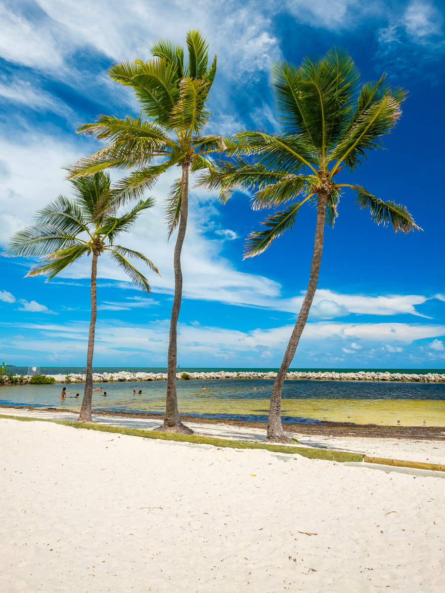 Beach with palm trees.