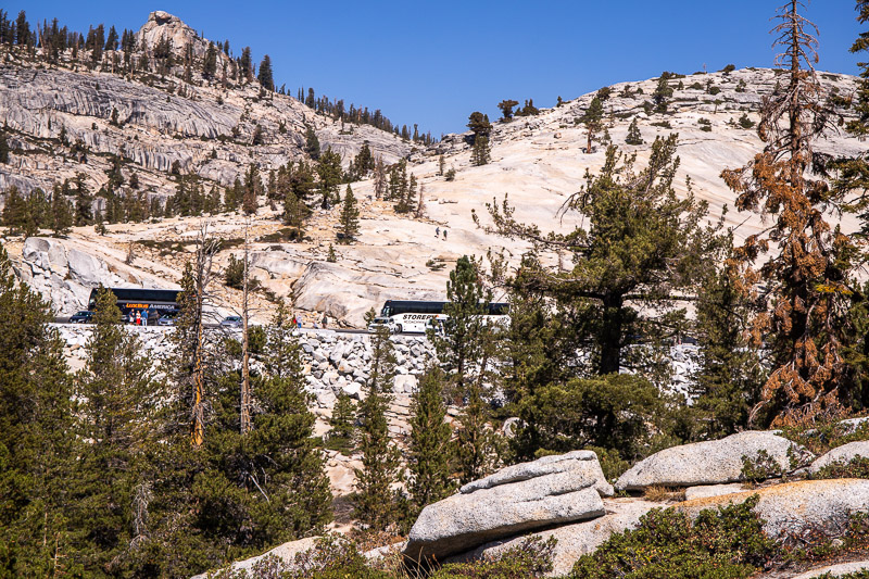 mountains on the tioga pass road